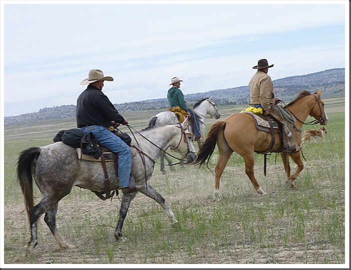 montana 2013 trail 248