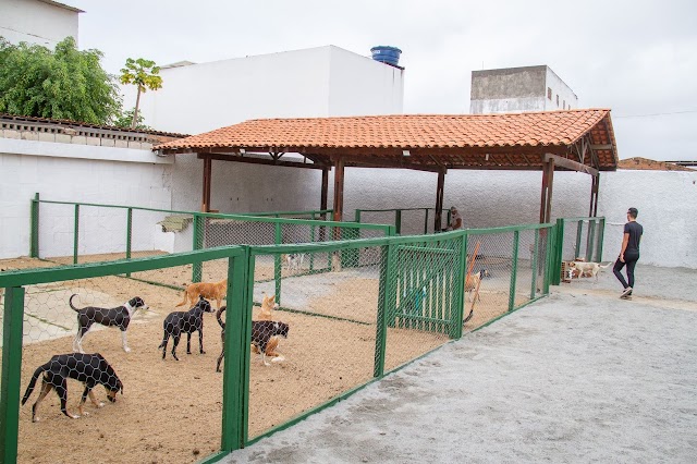 Santa Cruz realiza inauguração do Centro de Acolhimento Temporário de Animais nesta sexta-feira