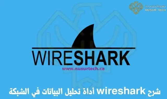 شرح واير شارك Wireshark اداة تحليل البيانات في الشبكة