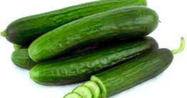 Persian Cucumber