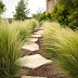 Mexican Feather Grass Soften the Path