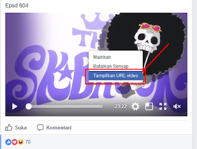 Cara Paling Mudah Download Video Di Facebook