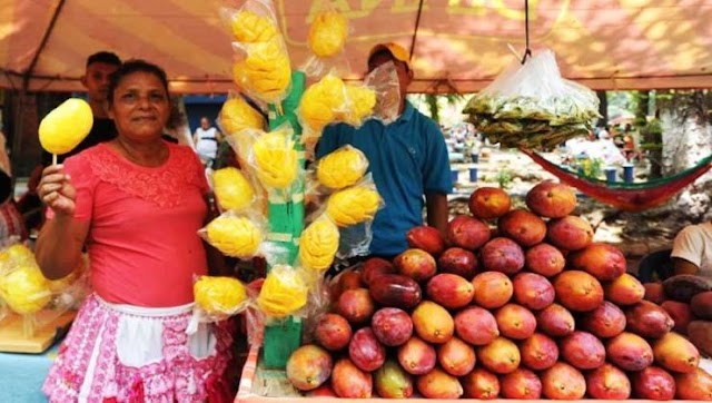 Guatemaltecos orgullosos del mango nativo