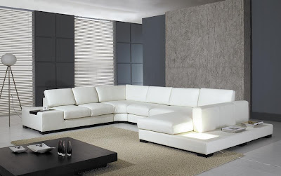 Living Room Interior Design with Modern Leather Sofa