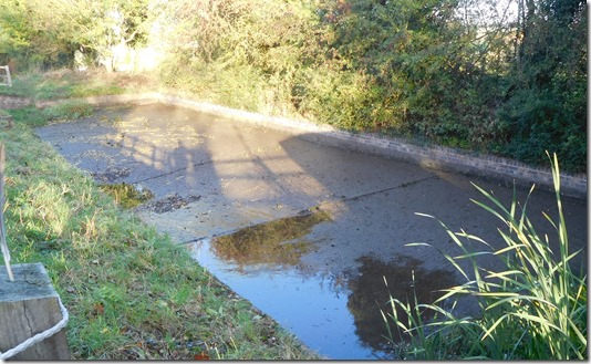4 empty side pond