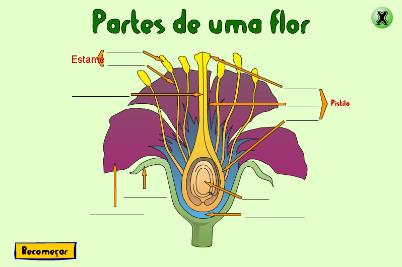  Atividade Interativa