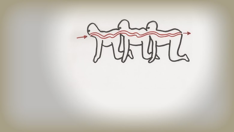 The Human Centipede (First Sequence) 2009 film completo