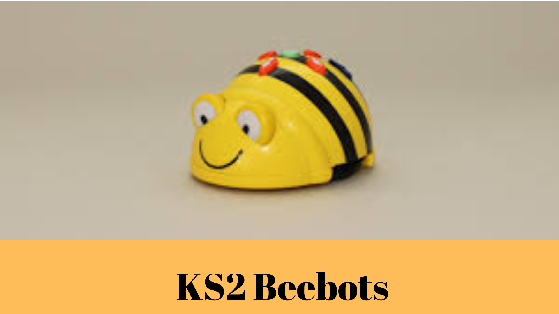 Beebots