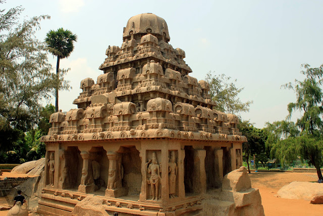 The tallest and largest of the Five Rathas, Dharmaraja Ratha with an height of 11 m and its square base measuring 8.5 m