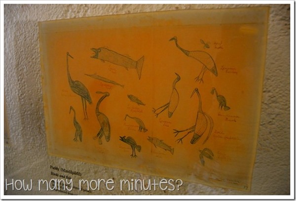 Fannie Bay Gaol in Darwin | How Many More Minutes?