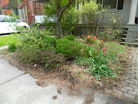 Toronto Wychwood Front Yard Spring Cleanup Before by Paul Jung Gardening Services--a Toronto Organic Gardener