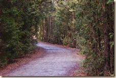 End of the path