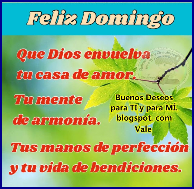 FELIZ DOMINGO    Que Dios en vuelva  tu casa de amor.    Tu mente de armonía.    Tus manos de perfección  y tu vida de bendiciones.