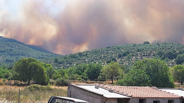 Μεγάλη φωτιά ΤΩΡΑ στη Λέσβο – Οι πρώτες εικόνες