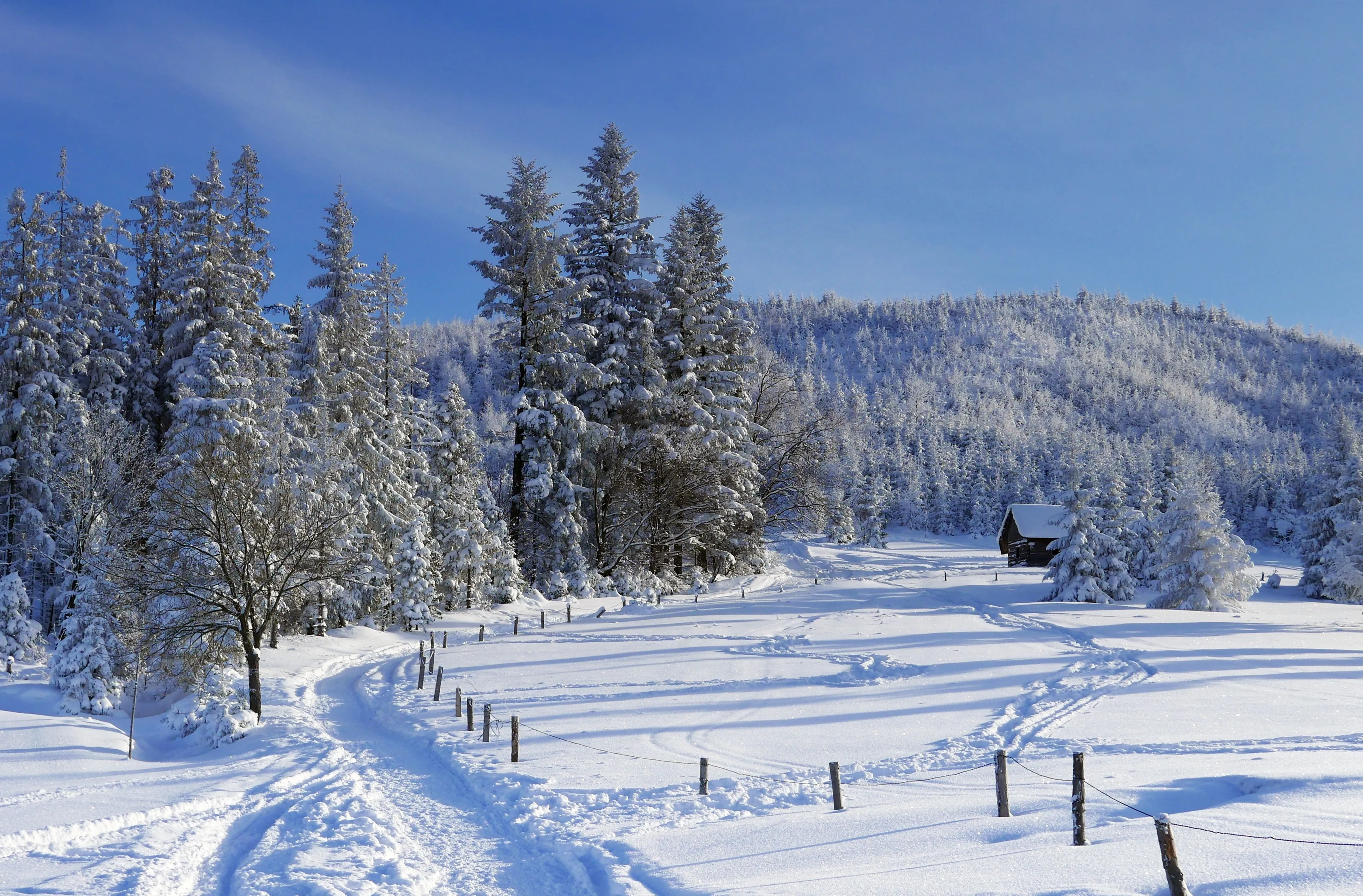 Beskid Żywiecki, Polana Cukiernica zimą