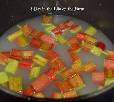 rhubarb simple syrup