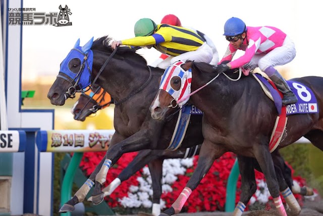 Hanshin: Belshazzar risolve la Japan Cup Dirt G1 di spunto. Il figlio di King Kamehameha aveva in sella Cristophe Patrice Lemaire