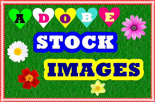 Adobe Stock Vector Images