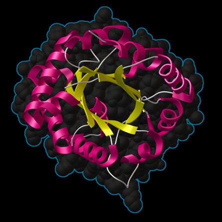 The file format initially used by the PDB was called the PDB file format.
