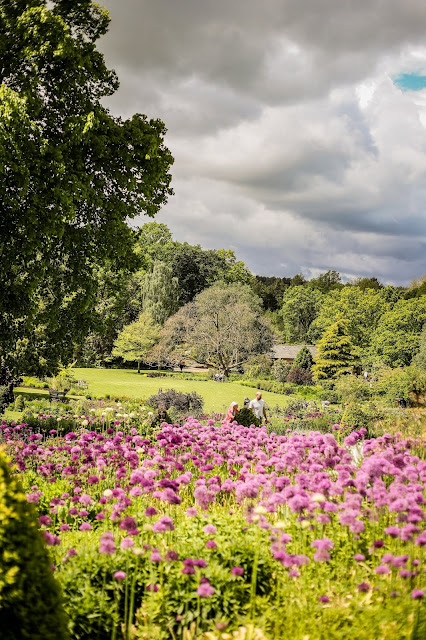 ambling in the countryside, living the slow life, just slow down, mandy charlton, photographer, writer, blogger