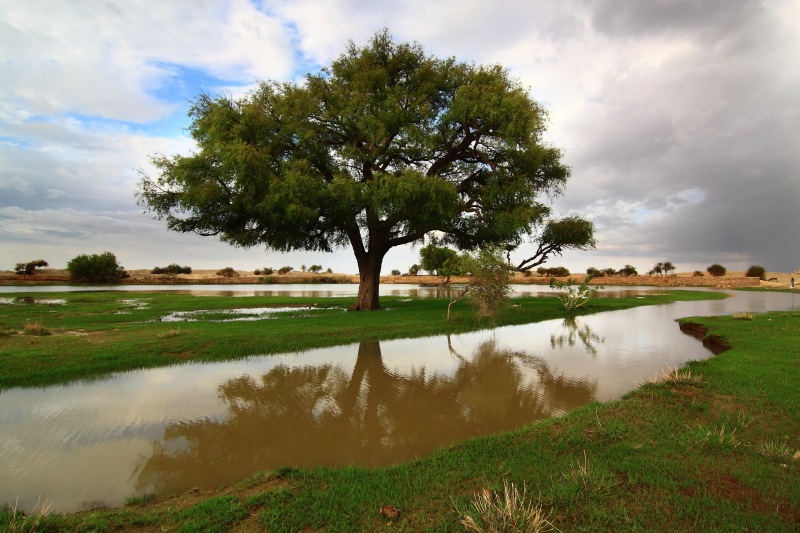 Desert Monsoon Rajasthan Jaisalmer