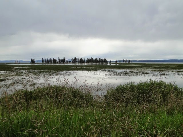 DSC09582