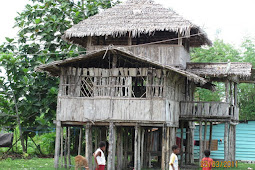 Nama Rumah Adat Papua Timur