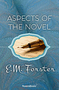 Aspects of the Novel (English Edition)