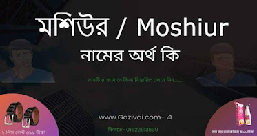 মশিউর নামের অর্থ কি
