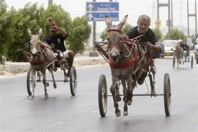 Unusual Racing Events Seen On www.coolpicturegallery.net