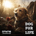  Dtm716 unleashes powerful anthem in "Dog For Life" featuring DMX - A gritty ode to resilience