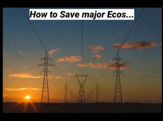 HOW TO SAVE MAJOR ECOS. 