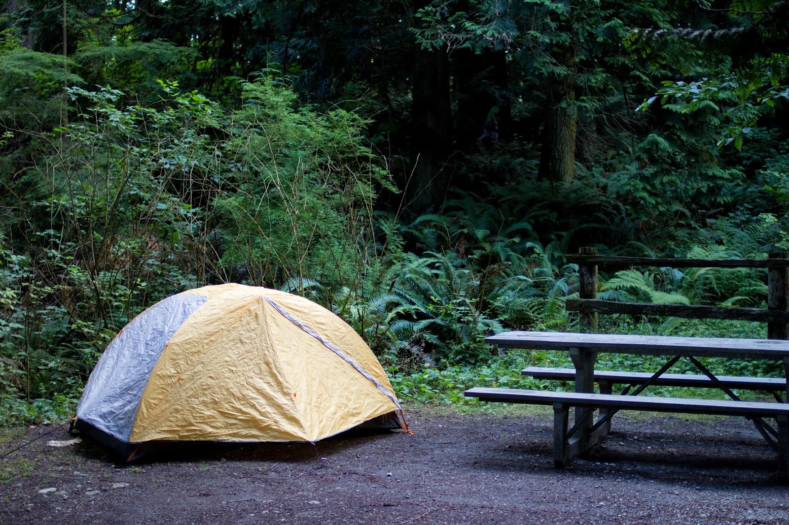 Larrabee State Park