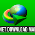 Internet Download Manager 6.31 Build 9