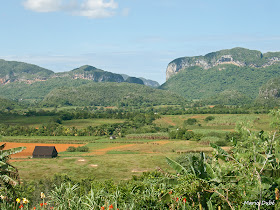 Vallée de Viñales