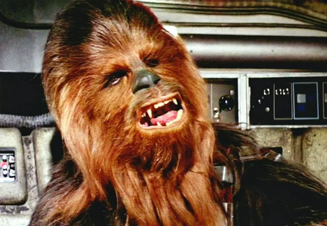 chewbacca growl quotes