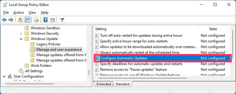 4-configure-automatic-updates-policy