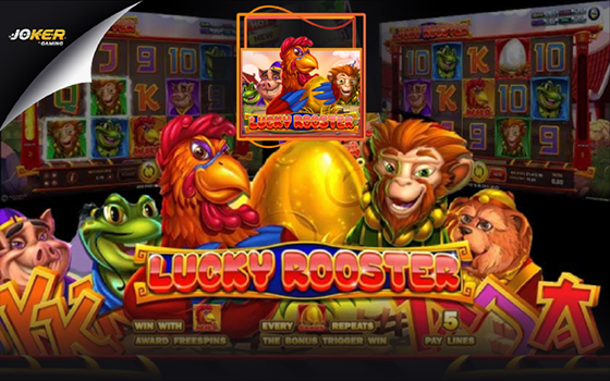 Slotxo lucky rooster