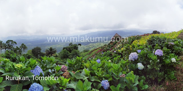 Danau Linow dan Taman  Bunga  Rurukan Tempat Wisata Ciamik 