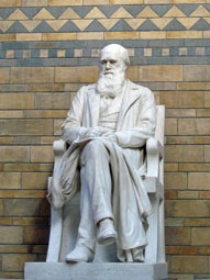 Charles Darwin statue