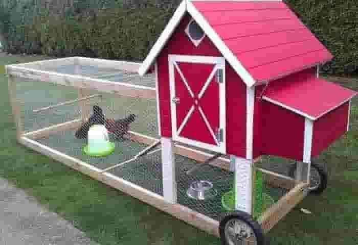 News-Malayalam-News, National, National-News, Agriculture, Agriculture-News, New Delhi, Chicken Coops, Cultivation, Farming, 20 Surprisingly Easy Ideas for Having Chicken Coops at Home.