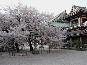 jardin japonais