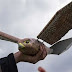 How to Spy on Animals or Humans with Stuffed Dead Birds Made into Drones