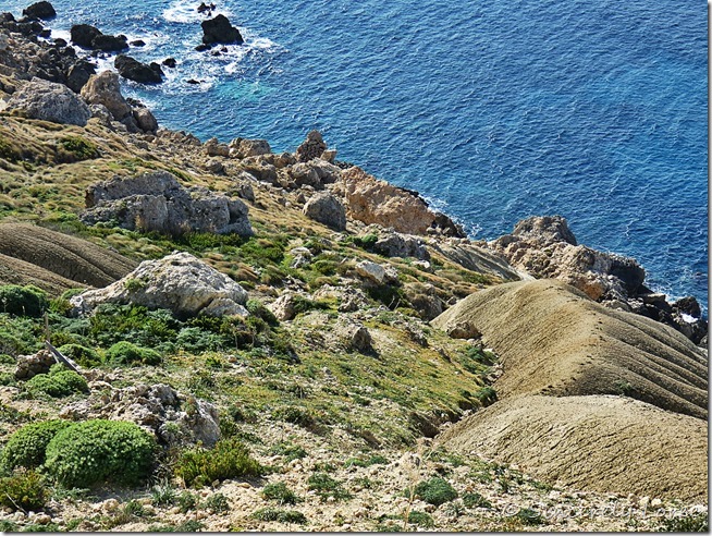 Ras il-Pellegrin