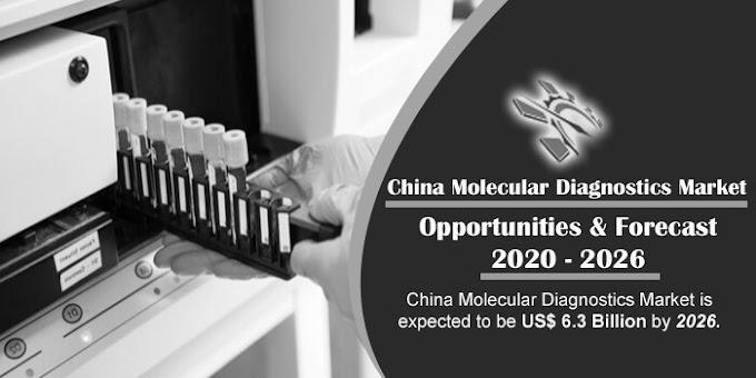 China Molecular Diagnostics Market & Volume Forecast, by Application | Renub Research
