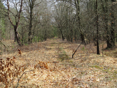 Chicago and West Michigan Railway crossing of the north country trail