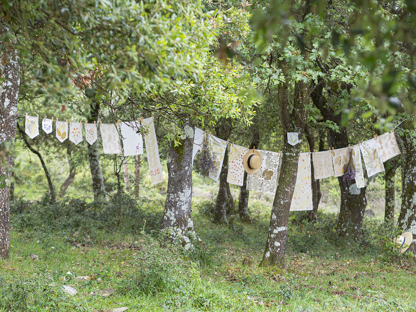 DIY Estampación botánica en tela11