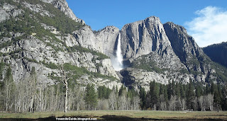 Yosemite Falls Picture