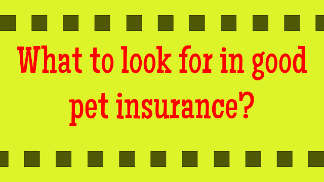 What to look for in good pet insurance?