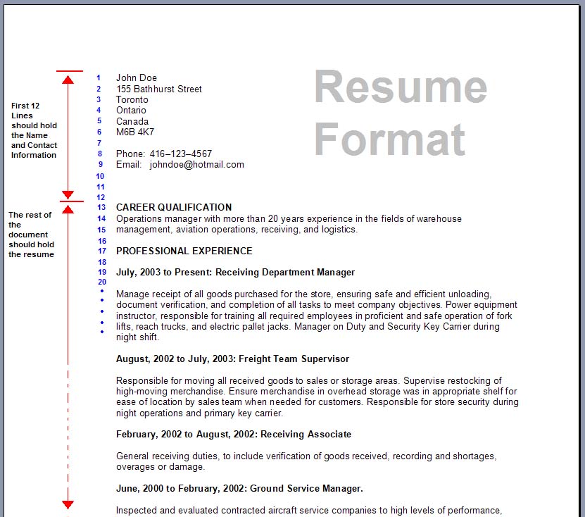 professional resume format examples. from Resume+formats+and+